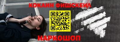 индика Партизанск