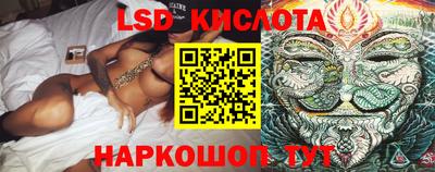 индика Партизанск