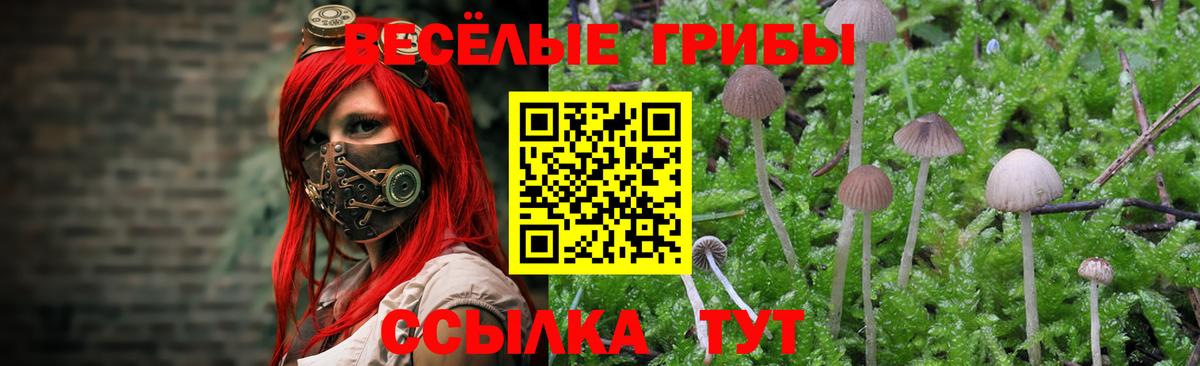 Псилоцибиновые грибы мицелий  Галлюциногенные грибы MAGIC MUSHROOMS  Вход с VPN  Урус-Мартан 